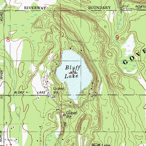 Topographic Map of Bluff Lake, WI