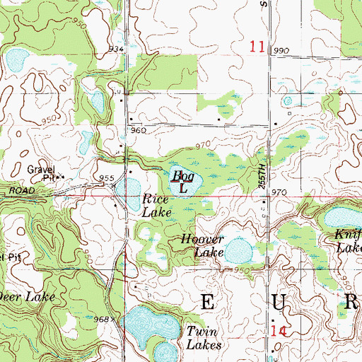 Topographic Map of Bog Lake, WI