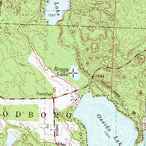 Topographic Map of Boggy Lake, WI