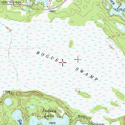 Topographic Map of Bogus Swamp, WI