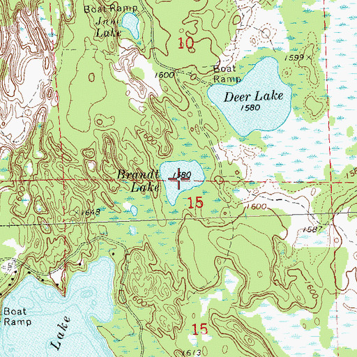 Topographic Map of Brandt Lake, WI