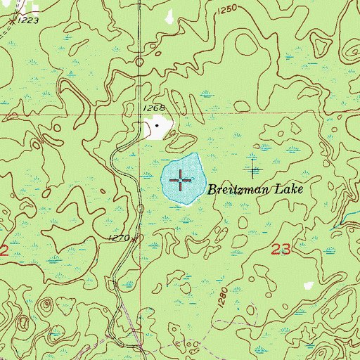 Topographic Map of Breitzman Lake, WI