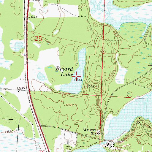 Topographic Map of Briard Lake, WI