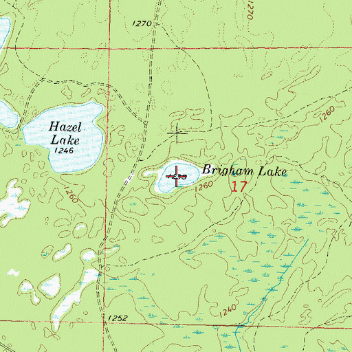 Topographic Map of Brigham Lake, WI