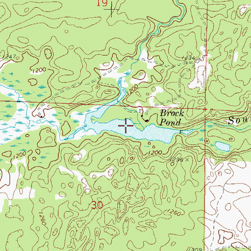 Topographic Map of Brock Pond, WI