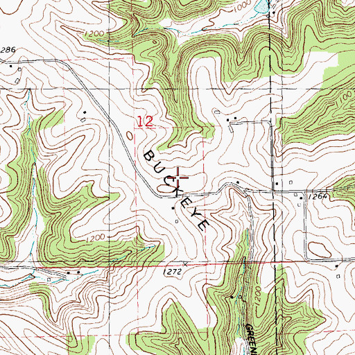 Topographic Map of Buckeye Ridge, WI