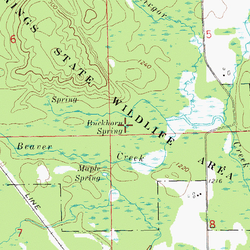 Topographic Map of Buckhorn Spring, WI