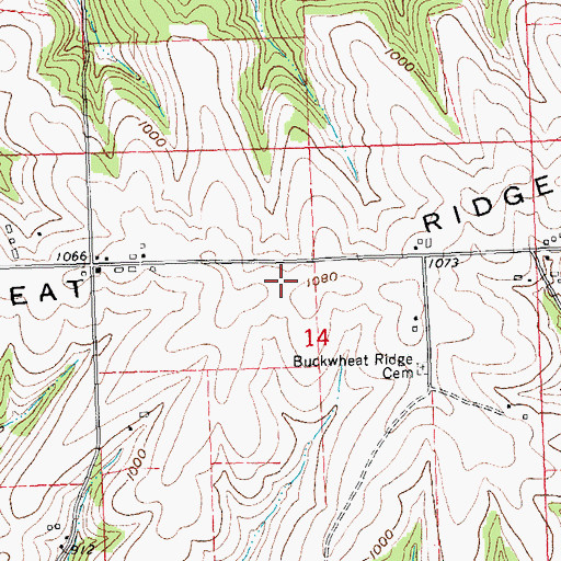 Topographic Map of Buckwheat Ridge, WI