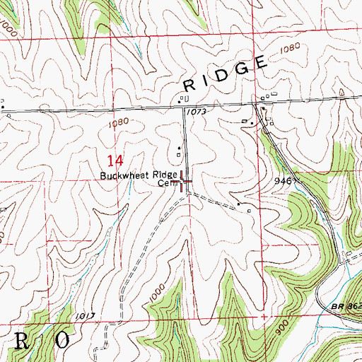 Topographic Map of Buckwheat Ridge Cemetery, WI