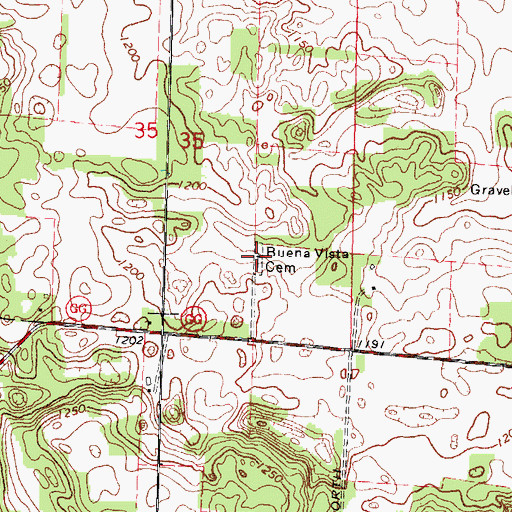 Topographic Map of Buena Vista Cemetery, WI