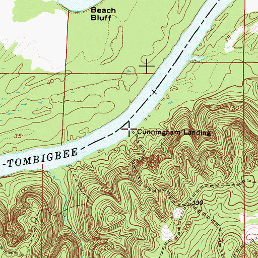 Topographic Map of Cunningham Landing, AL