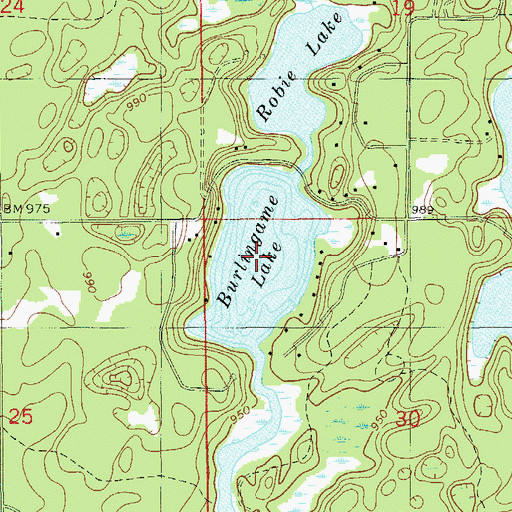 Topographic Map of Burlingame Lake, WI