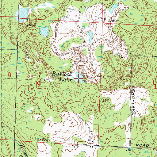 Topographic Map of Burlock Lake, WI