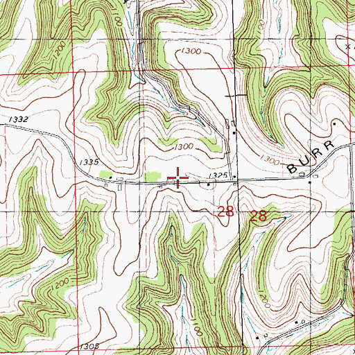 Topographic Map of Burr Ridge, WI