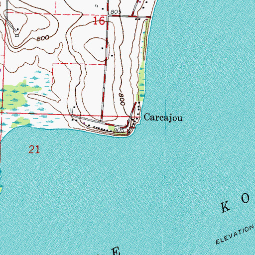 Topographic Map of Carcajou, WI