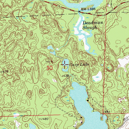 Topographic Map of Carp Lake, WI