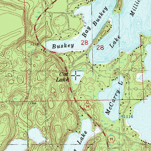 Topographic Map of Cat Lake, WI