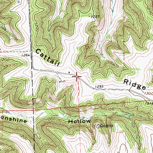 Topographic Map of Cattail Ridge, WI