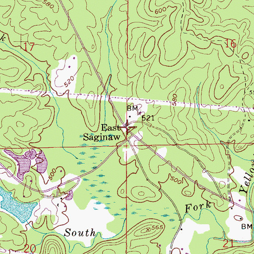 Topographic Map of East Saginaw, AL