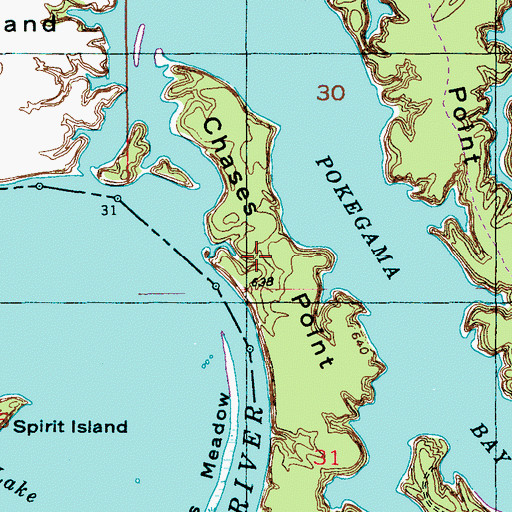 Topographic Map of Chases Point, WI