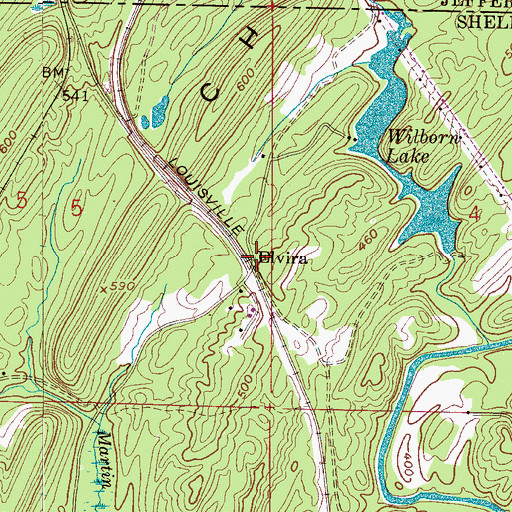 Topographic Map of Elvira, AL