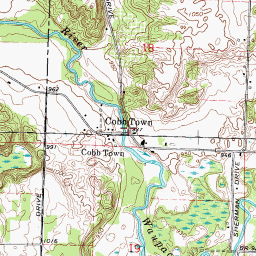 Topographic Map of Cobb Town, WI