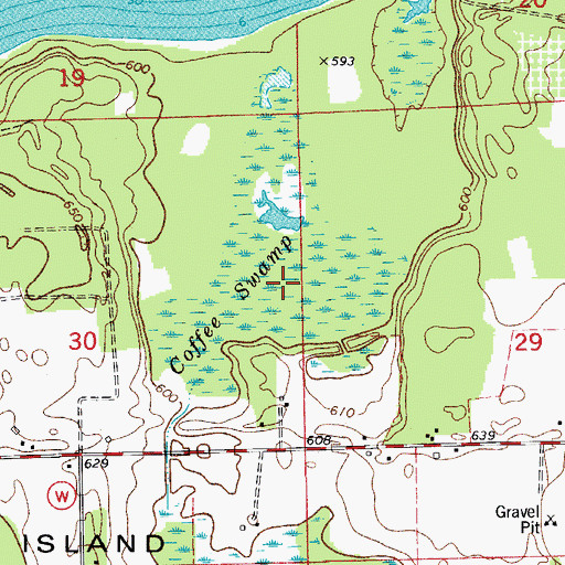 Topographic Map of Coffee Swamp, WI