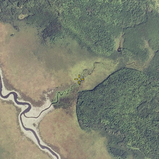Aerial/Satellite Image of Cold Brook, WI