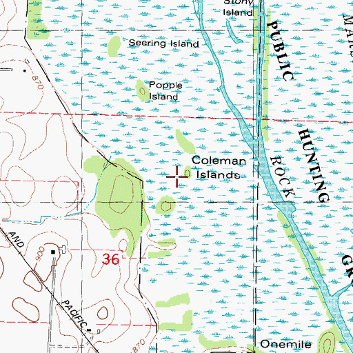 Topographic Map of Coleman Islands, WI