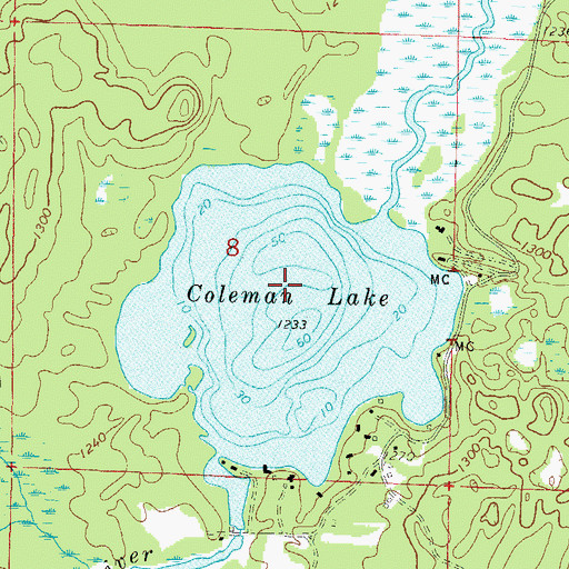 Topographic Map of Coleman Lake, WI