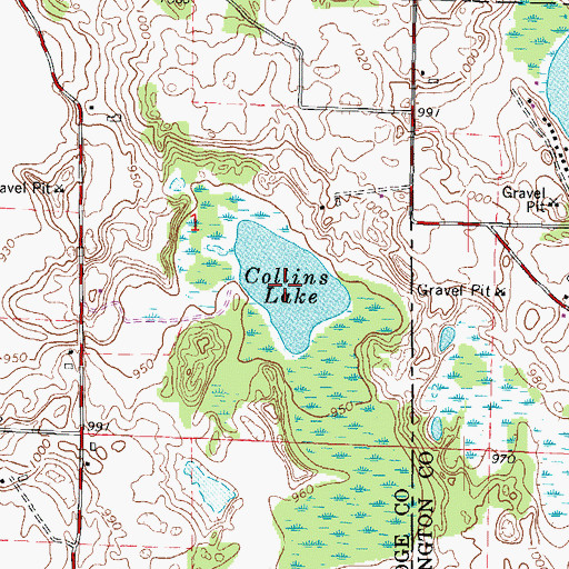 Topographic Map of Collins Lake, WI
