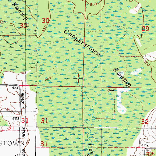 Topographic Map of Cooperstown Swamp, WI