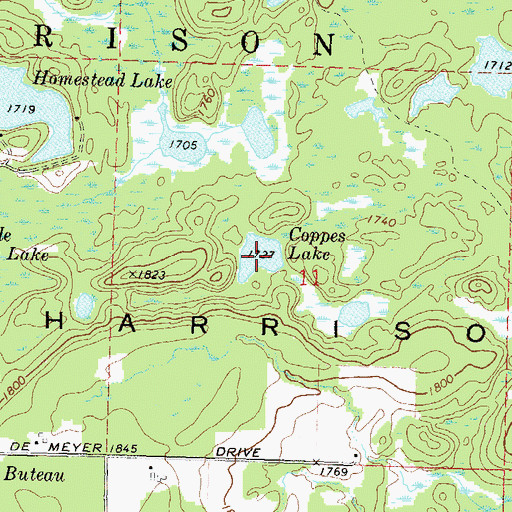 Topographic Map of Coppes Lake, WI