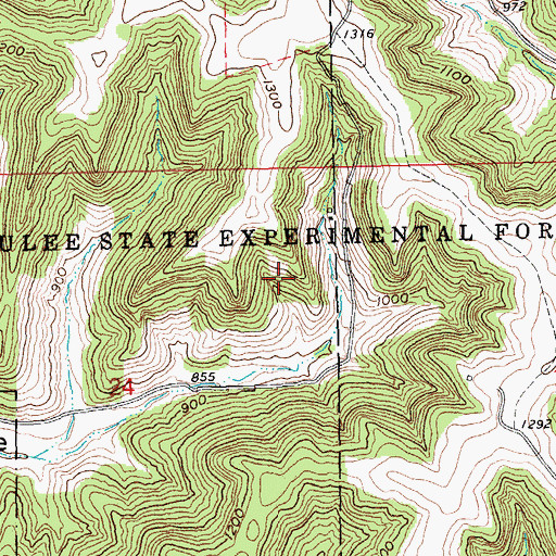 Topographic Map of Coulee State Experimental Forest, WI