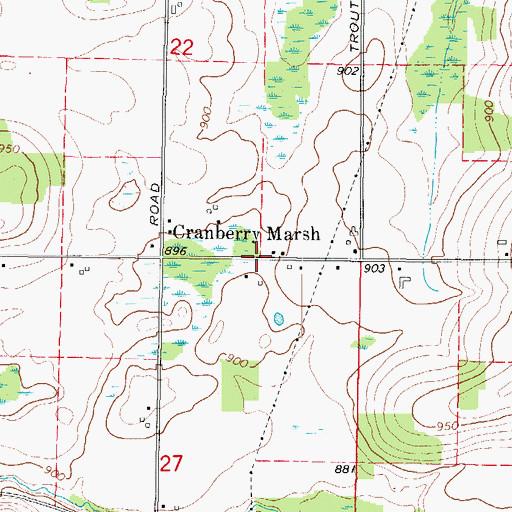 Topographic Map of Cranberry Marsh, WI