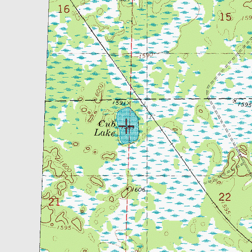 Topographic Map of Cub Lake, WI