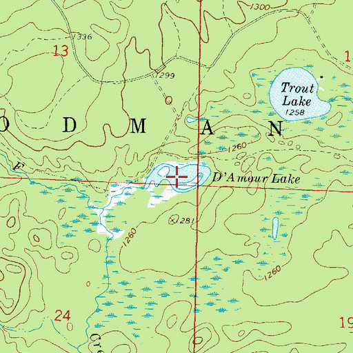 Topographic Map of D'Amour Lake, WI