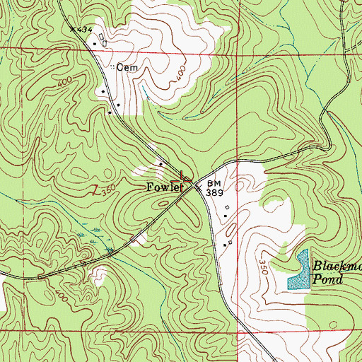 Topographic Map of Fowler, AL
