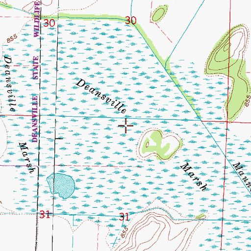 Topographic Map of Deansville Marsh, WI