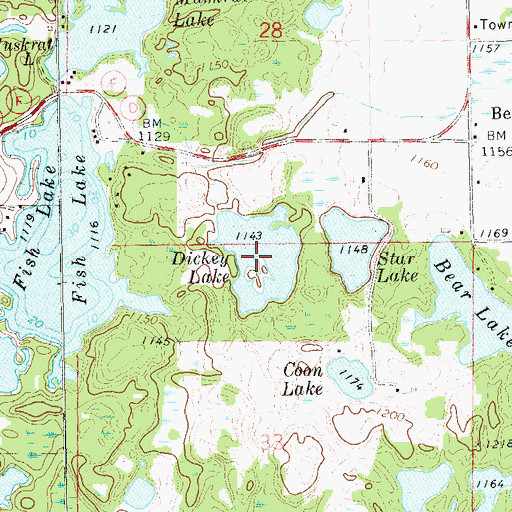 Topographic Map of Dickey Lake, WI