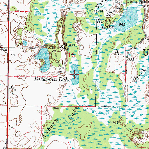 Topographic Map of Dickman Lake, WI