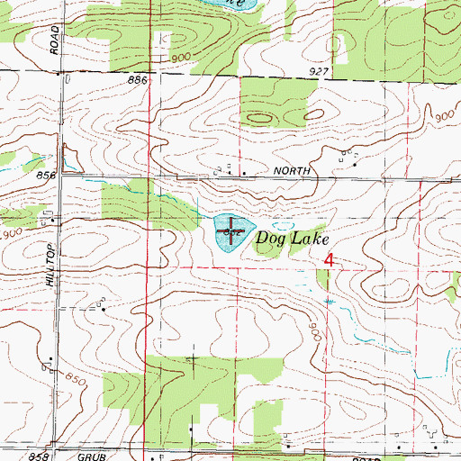 Topographic Map of Dog Lake, WI