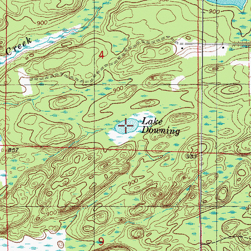 Topographic Map of Lake Downing, WI
