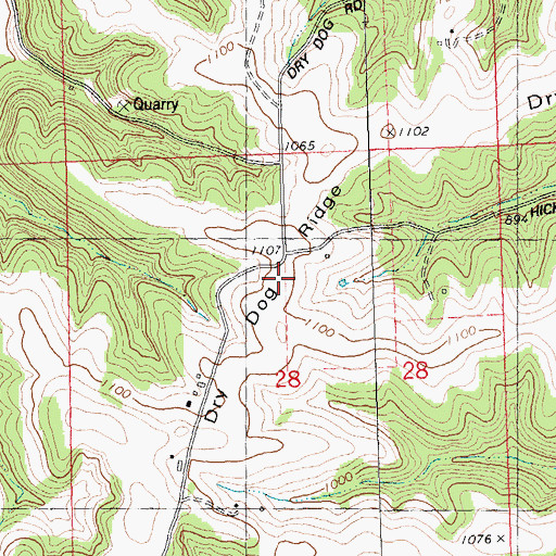 Topographic Map of Dry Dog Ridge, WI