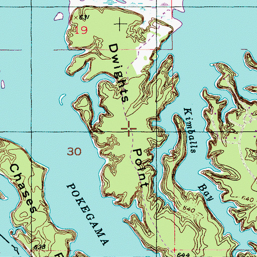 Topographic Map of Dwights Point, WI