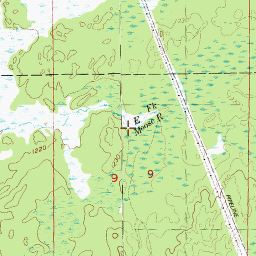 Topographic Map of East Fork Moose River, WI