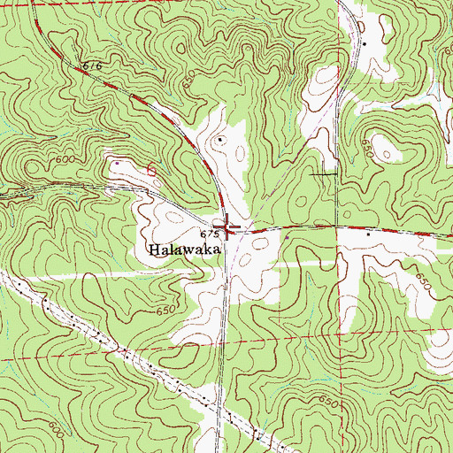 Topographic Map of Halawaka, AL