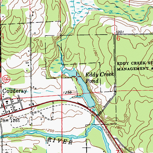 Topographic Map of Eddy Creek Pond, WI