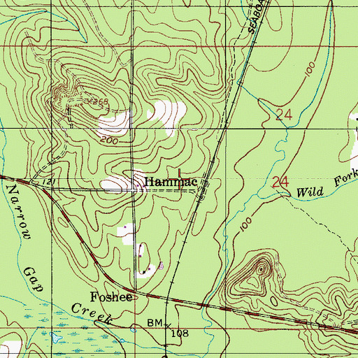 Topographic Map of Hammac, AL