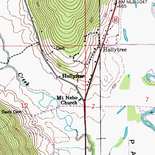 Topographic Map of Hollytree, AL